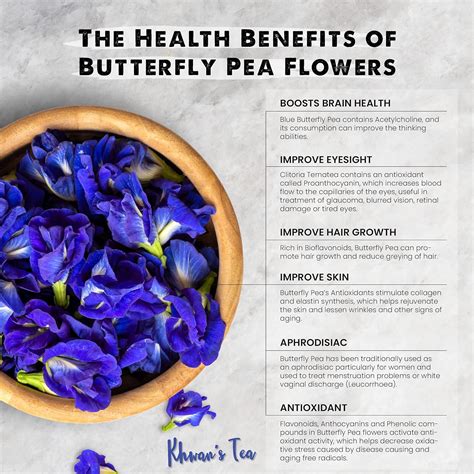 12 Butterfly Pea Flower Benefits Butterfly Pea Tea Side