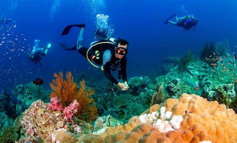 12 Dive Resorts in the Cayman Islands PADI Travel