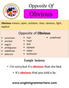 12 Examples Of Obvious