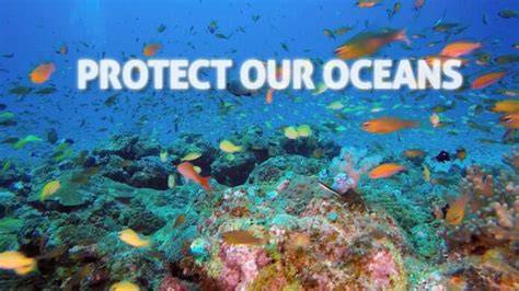 12 innovative and surprising solutions for saving our seas - raincitystudios.com