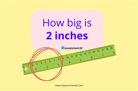 12 Inch Onlyfans Leak