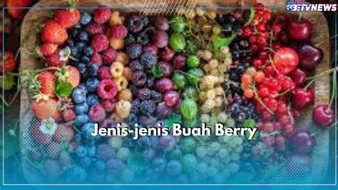 12 Jenis Buah Berry & Manfaat Kesehatannya - Tokopedia Blog - muktibox.com