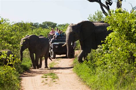 12 KRUGER NATIONAL PARK, CAPE TOWN & GARDEN ROUTE TOUR