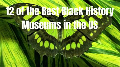 12 of the Best Black History Museums in the US and Where to ... - Tiqets - wintechmobiles.com