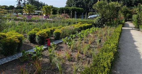 12 Secrets to Successful Community Gardens in 2025 - raincitystudios.com
