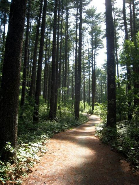 12 Trails In Massachusetts You Must Take If You …