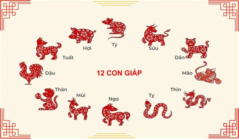 12 con giap | 12 con gip trong vn ha ca