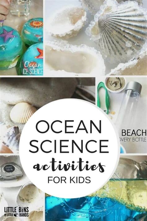 12 Easy And Fun Ocean Science Experiments For Marine Science Experiment Ideas - Marine Science Experiment Ideas