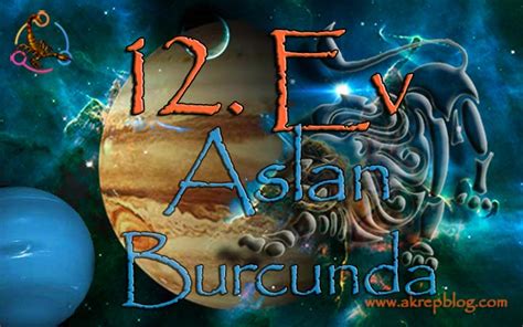 12 Ev Aslan
