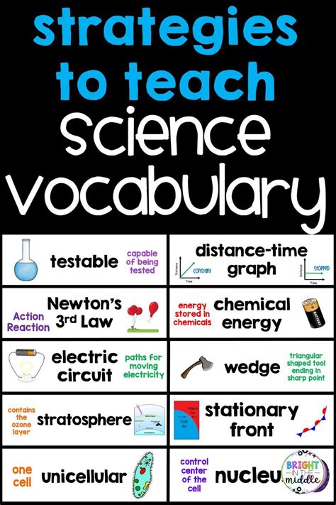 12 Science Vocabulary Activities For Middle School Teaching Science Word Searches Middle School - Science Word Searches Middle School