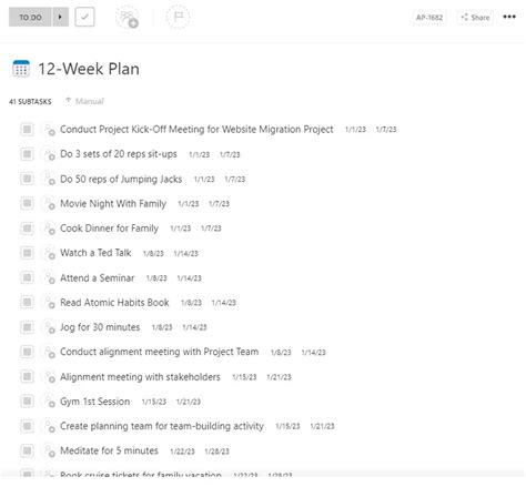 12 Week Plan