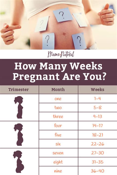 12 weeks in days How long is 12 weeks? - CoolConversion