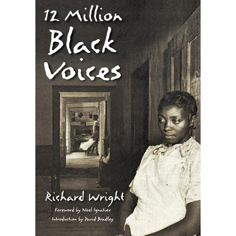 Read Online 12 Million Black Voices 