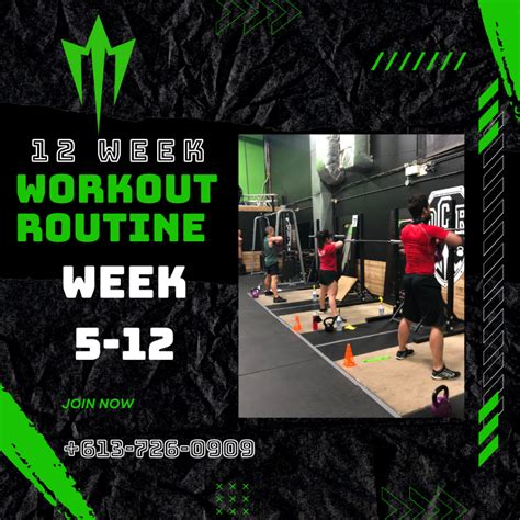 Read Online 12 Week Training Program Suspension Training 