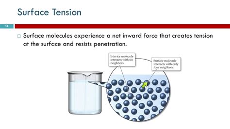 12.3: Surface Tension and Viscosity - Chemistry LibreTexts - wintechmobiles.com
