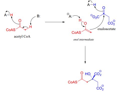 12.4: Aldol Addition - Chemistry LibreTexts