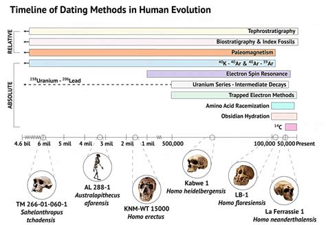12.5: Other Dating Methods - Geosciences LibreTexts - wintechmobiles.com
