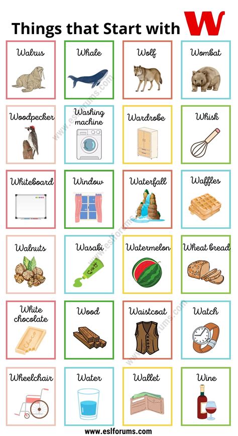 120 Interesting Things That Start With W W Objects That Start With W - Objects That Start With W