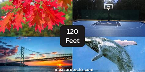 120 To Feet