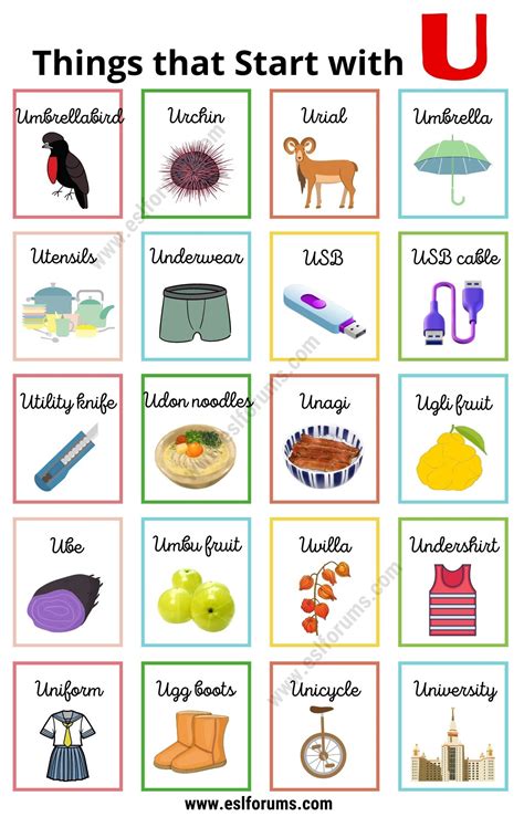 120 Unique Things That Start With U In Objects That Start With U - Objects That Start With U