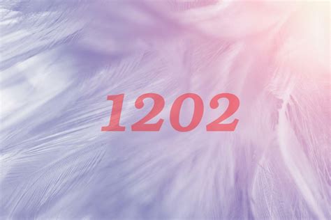 1202 Halı ve Koltuk Yıkama