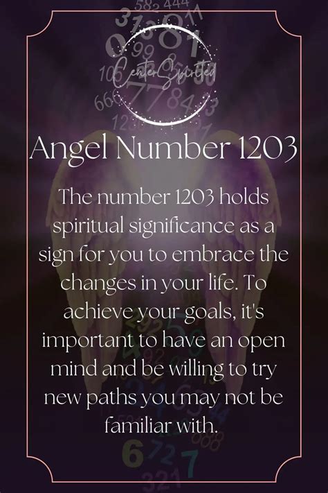 1203 Halı ve Koltuk Yıkama