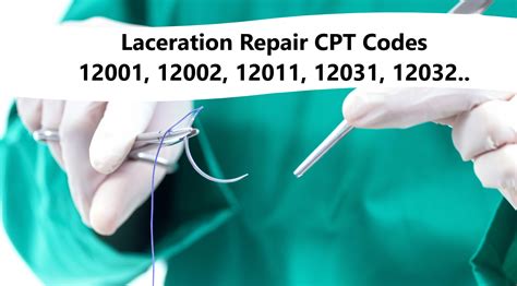 12032 Halı ve Koltuk Yıkama