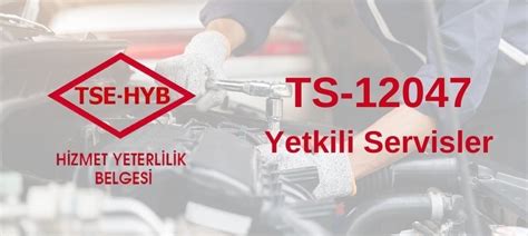 12047 Halı ve Koltuk Yıkama