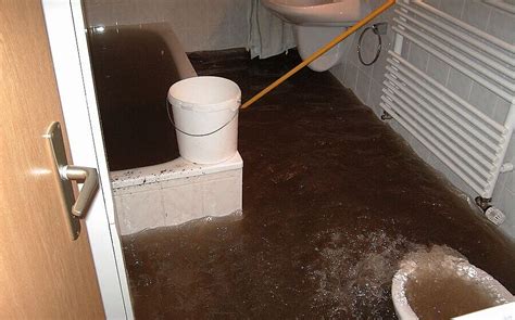 12056 Halı ve Koltuk Yıkama