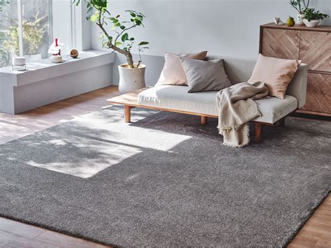 121013 Halı ve Koltuk Yıkama