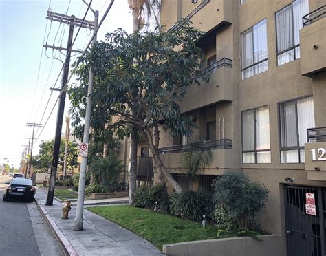 1210 N Las Palmas Ave, Los Angeles, CA 90038 is currently not for sale. The 750 Square Feet apartment home is a 2 beds, 2 baths property. This home was built in null and last sold on 2023-05-11 for $--. .