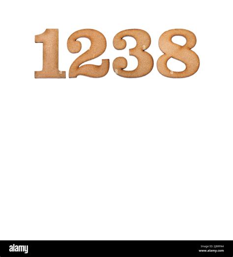 1238 Halı ve Koltuk Yıkama