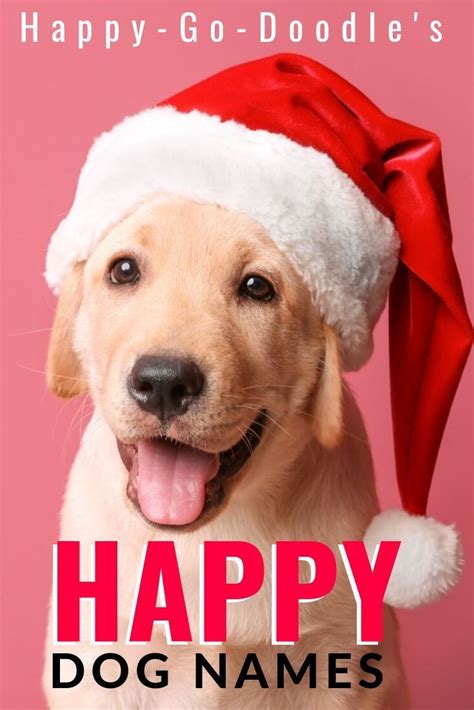 125 Christmas Dog Names That Are as MERRY As Your Pup