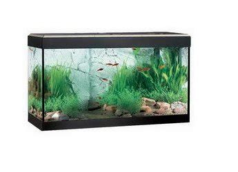 125 Litre Fish Tank - Aquatics World