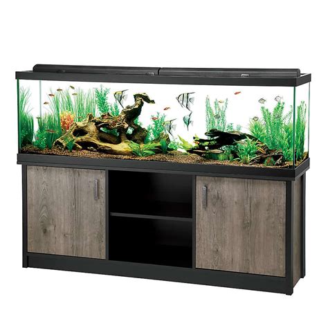 125 gallon marineland aquarium. Specs: Marineland c-360 x2 Aquaclear 110 x2 300w heater Large rock substrate Artificial decor Marineland LED Double Bright 24" Strip Lights x2 Stock: 2 oscars, 2 angels, 4 blood parrots, 6 silver dollars, 1 convict, 1 striped raphael, 1 clown pleco. Let me just point out that I realize this... 