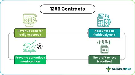 1256 Halı ve Koltuk Yıkama