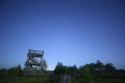 127005 Halı ve Koltuk Yıkama