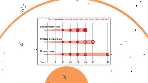 12Gauge Shotgun Pattern Test