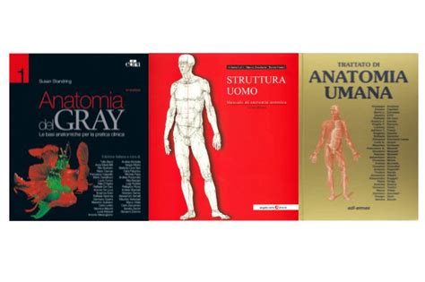 12a edizione del manuale di anatomia e fisiologia umana. - Guide to microwave cooking recipe book hotpoint.