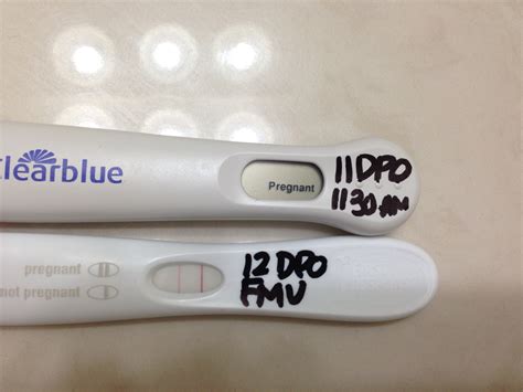 I got my bfp on an easy@home. My frer was negative when the clear blue 5 day early digital said pregnant! I don't trust frer.. @lailakowalskis I’m using one of the boots strip tests. Which picks up 25 hcg. I tested with a frer 3 days ago and it was negative. Hey @lailakowalskis.. 
