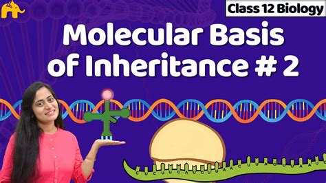 Download 12Th Biology Chapter Genetic Basis Of Inheritance 