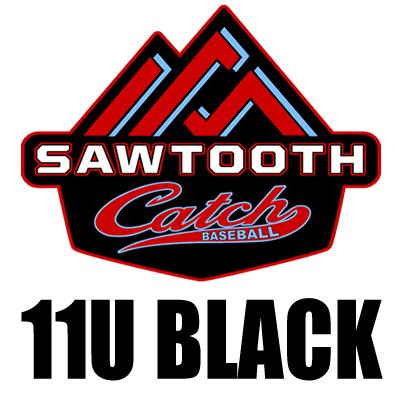 12u – Sawtooth Catch Black 11u – Idaho Club Baseball