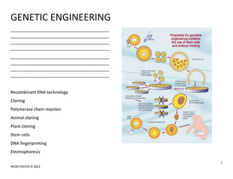 13 4 Applications Of Genetic Engineering Answer Key