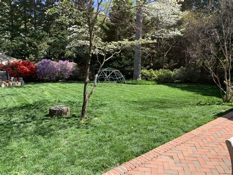 13 Best Lawn Care Services in Goochland VA - HomeAdvisor