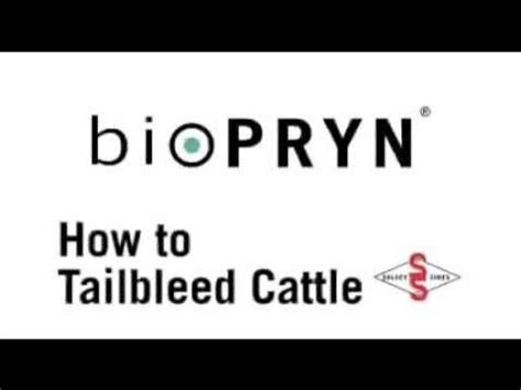13 BioPRYN Test Procedures YouTube