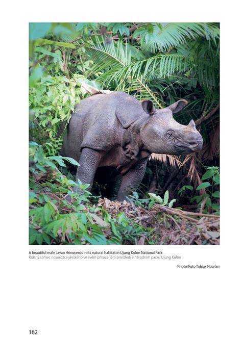 13 Conservation of the Javan Rhinoceros: Lessons from ... - Springer - raincitystudios.com