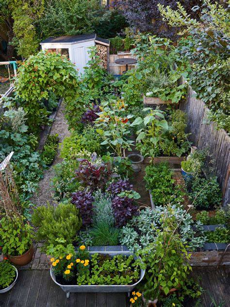 13 Creative Edible Landscaping Ideas for Beautiful Food Gardens - raincitystudios.com