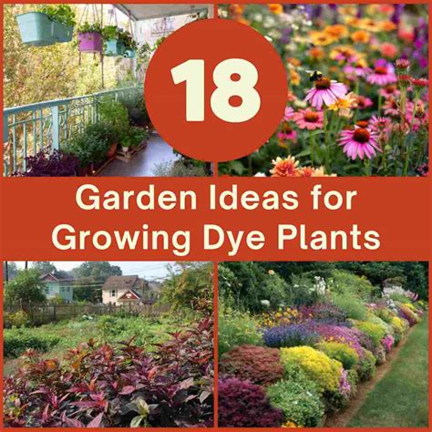 13 Dye plants for the garden ideas - raincitystudios.com