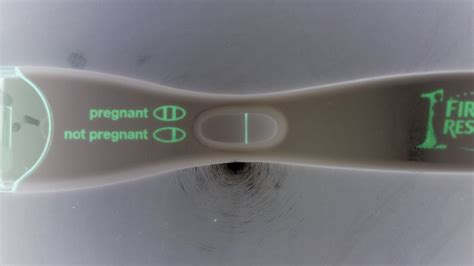 13 Dpo Bfn Could I Still Be Pregnant Captions Quotes