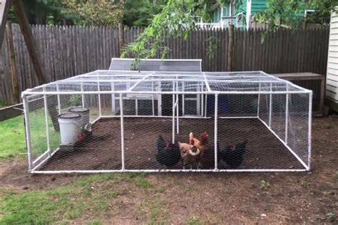 13 Free DIY PVC Chicken Tractor Plans - Handy Keen - raincitystudios.com